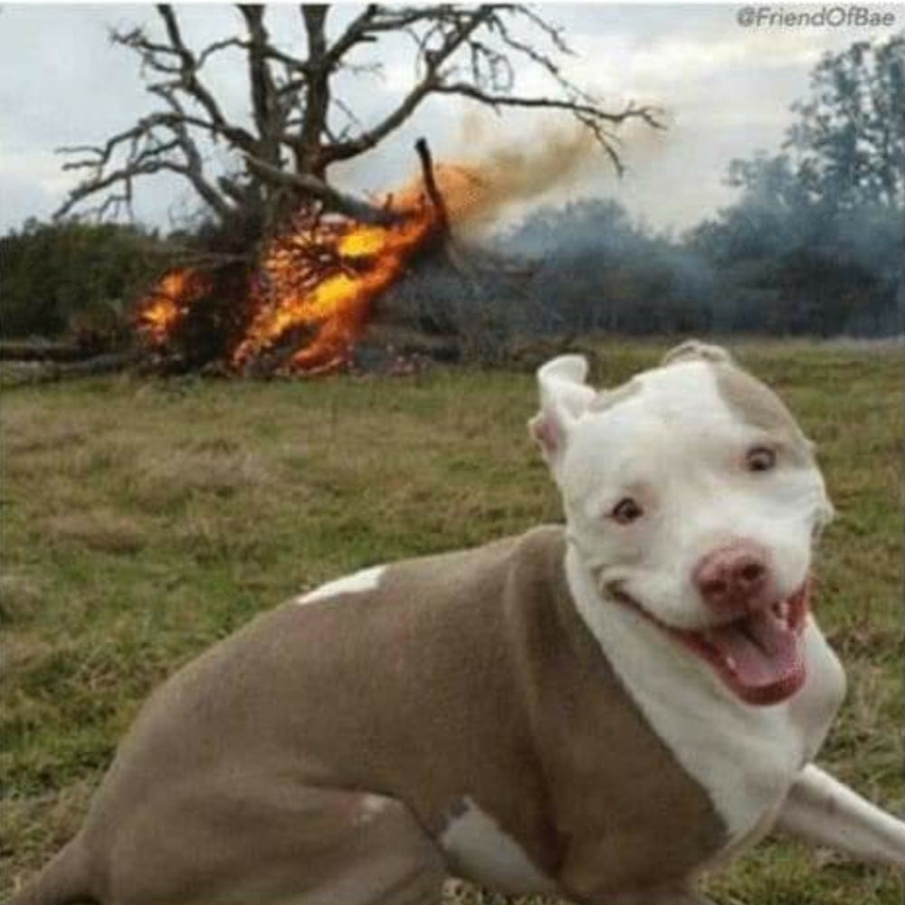 Meet your Posher, Adan